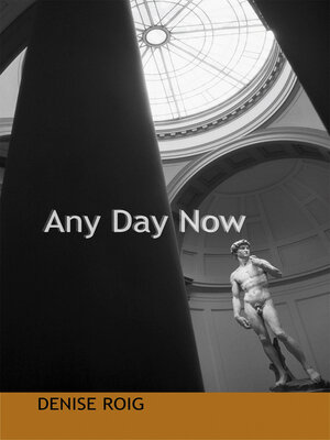 cover image of Any Day Now